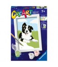 Ravensburger Creart schilderen op nummer border collie